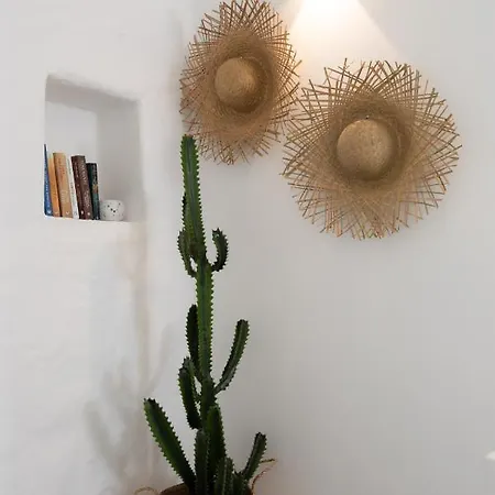 Nerites In Sifnos *